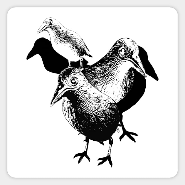 Three Birds Sticker by Hermit Magic